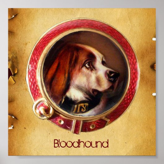 VIKTORIANISCHE MINIATURHUNDPORTRAITS Bluthund Poster (Vorne)