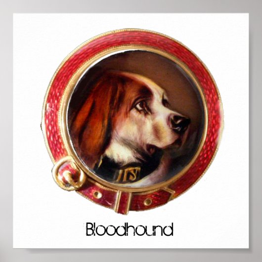 VIKTORIANISCHE MINIATURHUNDPORTRAITS Bluthund Poster (Vorne)