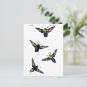 Viktorianische Motive Postkarte (Stehend Vorderseite)