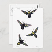 Viktorianische Motive Postkarte (Vorne/Hinten)