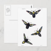 Viktorianische Motten Postkarte (Vorne/Hinten)