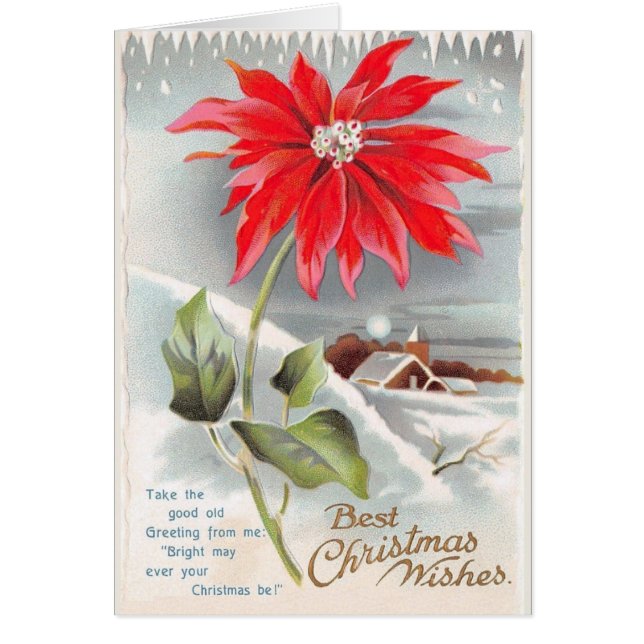 Viktorianische Poinsettia Weihnachtskarte (Vorne)