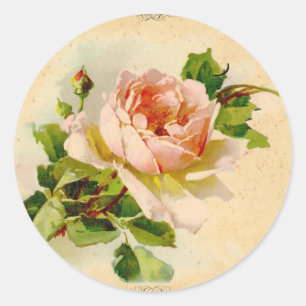 Viktorianische Rosa Rose Runder Aufkleber