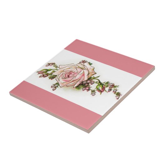 Viktorianische rosa Rose und Fliese (Seite)