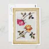 Viktorianische Rosa und Gelbe Rosen II Postkarte (Vorne/Hinten)