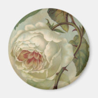 Viktorianische Rose Postkartenabbildung