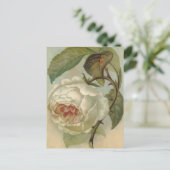 Viktorianische Rose Postkartenabbildung Postkarte (Stehend Vorderseite)