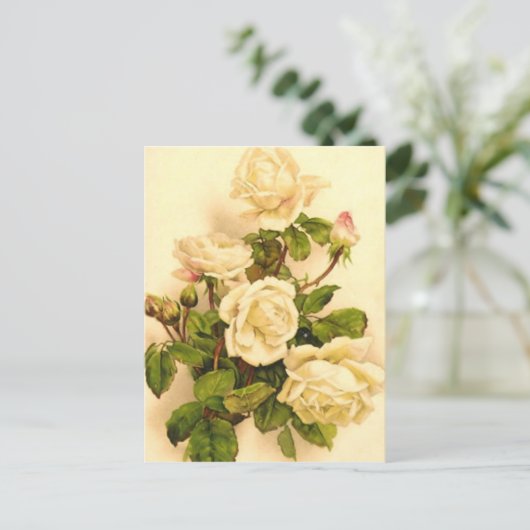 Viktorianische Rose von Elfenbein Postkarte (Stehend Vorderseite)