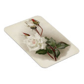 Viktorianische Rosen Magnet (Rechte Seite)