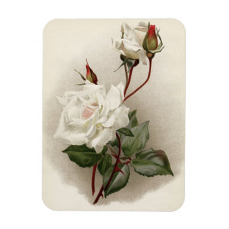 Viktorianische Rosen Magnet