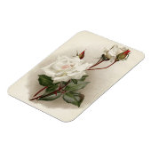 Viktorianische Rosen Magnet (Linke Seite)