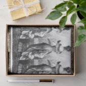 Viktorianische Schwarz-Weiß-Mode Seidenpapier (Geschenk)