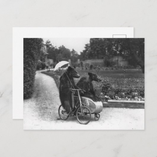 Viktorianische sonderbare Bären, die Fahrrad Postkarte (Vorne/Hinten)