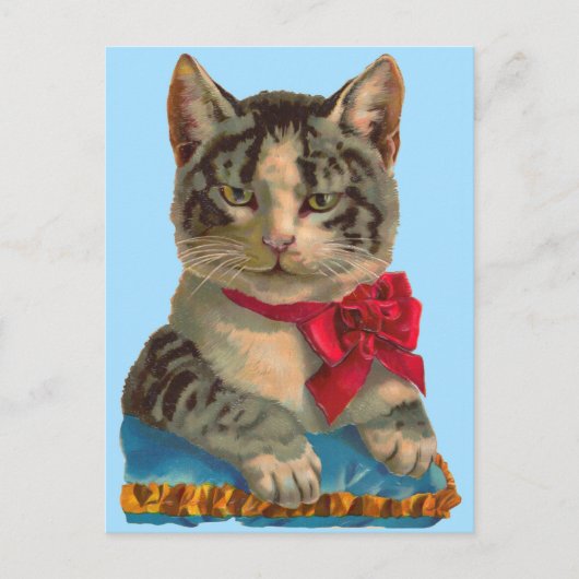 Viktorianische Tablet-Katze Postkarte (Vorderseite)