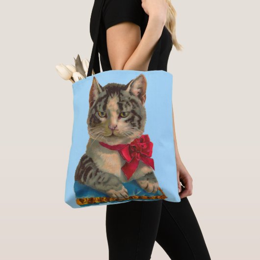 Viktorianische Tablet-Katze Tasche (Von Nahem)