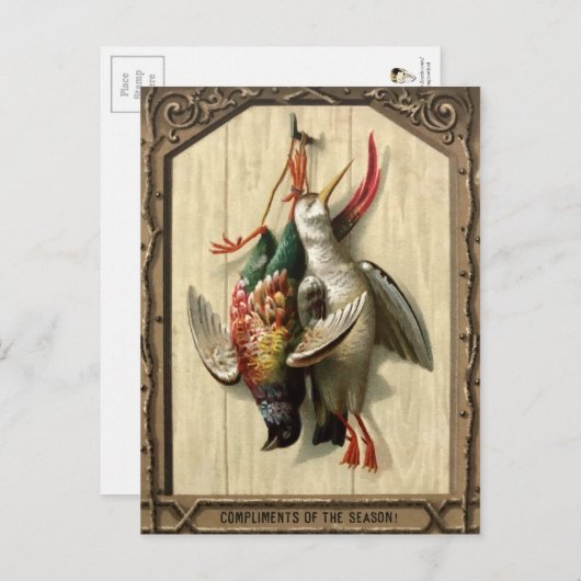 Viktorianische Tote Vögel Weihnachten Postkarte (Vorne/Hinten)