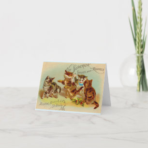 Viktorianische Visitenkartenkätzchen