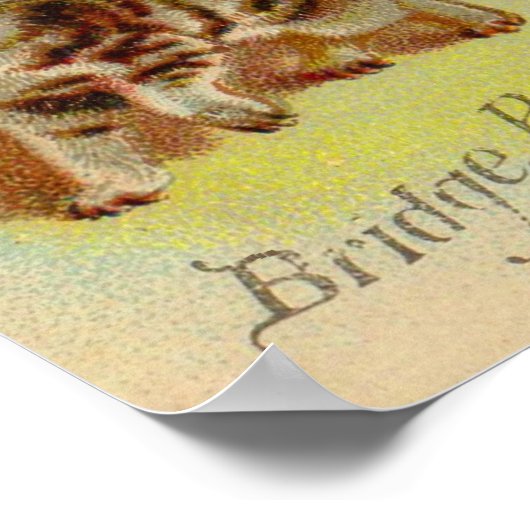 Viktorianische Visitenkartenkätzchen Poster (Ecke)