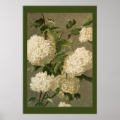 Viktorianische White Hydrangea-Blume Poster (Vorne)