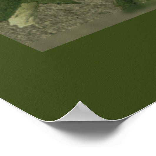 Viktorianische White Hydrangea-Blume Poster (Ecke)