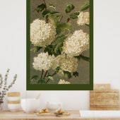Viktorianische White Hydrangea-Blume Poster (Küche)