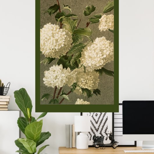 Viktorianische White Hydrangea-Blume Poster (Heimbüro)