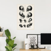 Viktorianischer anatomischer Schädel-Kunstprint Me Poster (Heimbüro)