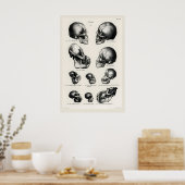 Viktorianischer anatomischer Schädel-Kunstprint Me Poster (Küche)