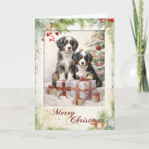 Viktorianischer Berner Sennenhund Weihnachten