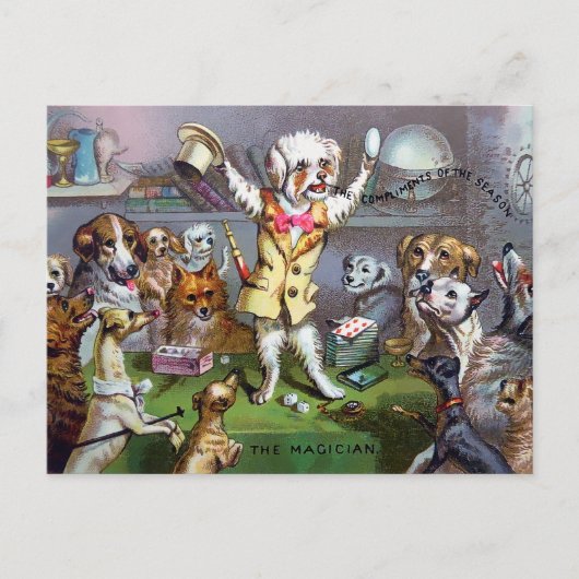 Viktorianischer Dog Magician Postkarte (Vorderseite)