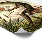 Viktorianischer Frosch auf Toadstool Ad Poster (Ecke)
