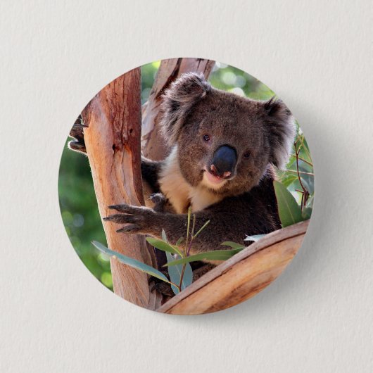 Viktorianischer Koala Button (Vorderseite)