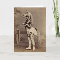 Viktorianischer Pferdekostüm-Daguerreotype/Foto