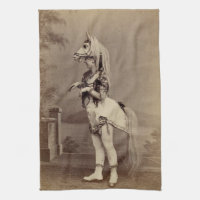 Viktorianischer Pferdekostüm-Daguerreotype/Foto