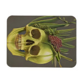 Viktorianischer Schädel, Aloe und Trauben Magnet (Horizontal)