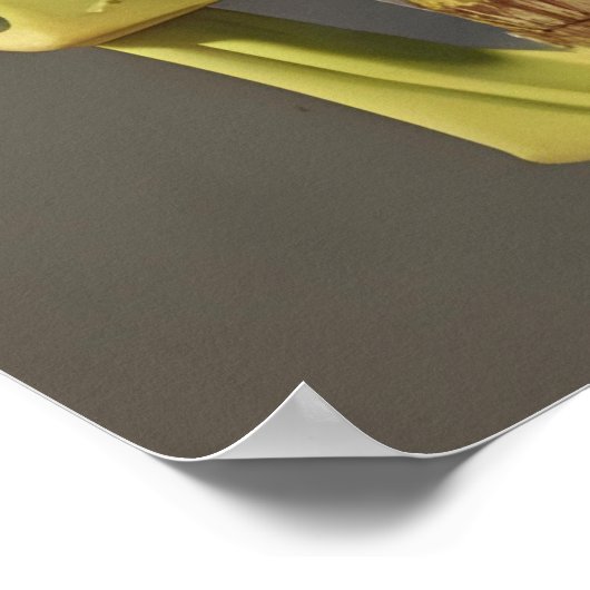 Viktorianischer Schädel, Aloe und Trauben Poster (Ecke)