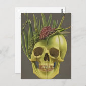 Viktorianischer Schädel, Aloe und Trauben Postkart Postkarte (Vorne/Hinten)