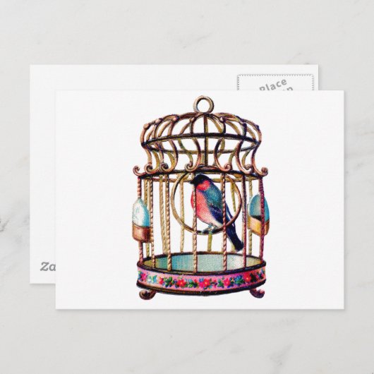Viktorianischer Schrott Die Vogelkäfig Postkarte (Vorne/Hinten)
