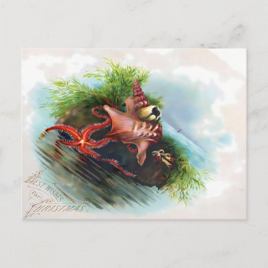 Viktorianischer Seestern und Muschel-Weihnachtsgru Postkarte (Vorderseite)