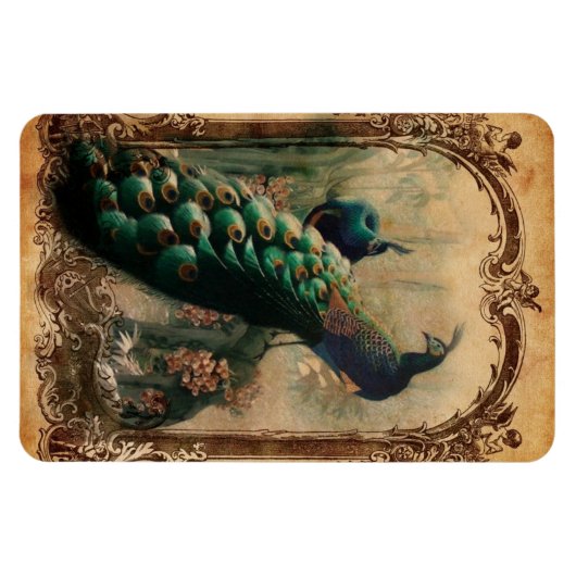 viktorianischer, Vintager Pfau Magnet (Horizontal)