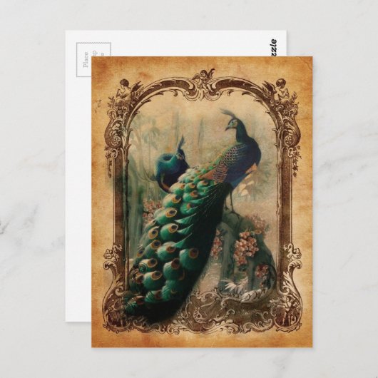 viktorianischer, Vintager Pfau Postkarte (Vorne/Hinten)