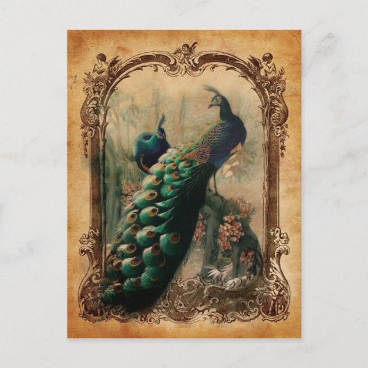 viktorianischer, Vintager Pfau Postkarte (Vorderseite)