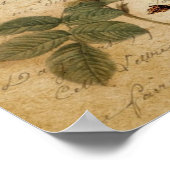 viktorianischer Vogel Paris Botanische Rose Poster (Ecke)