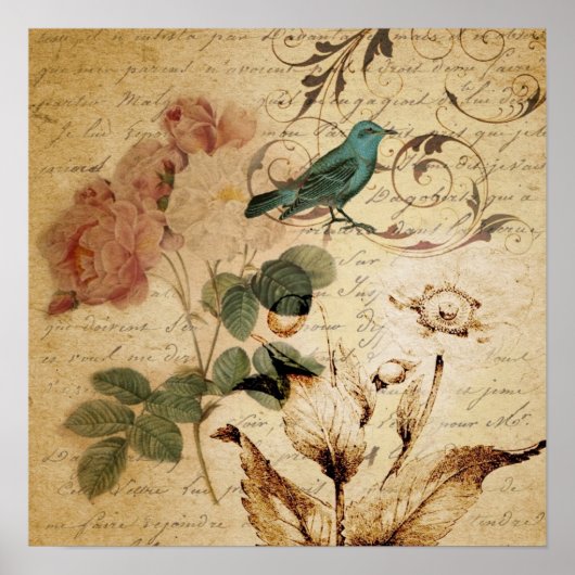 viktorianischer Vogel Paris Botanische Rose Poster (Vorne)