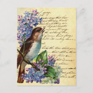 Viktorianischer Vogel und Typografie I Postkarte