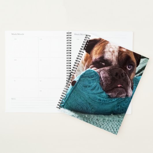 Viktorianisches Bulldog-Foto 8x11-Notebook Planer (Anzeige)