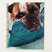 Viktorianisches Bulldog-Foto 8x11-Notebook Planer (Vorderseite)