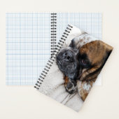 Viktorianisches Bulldog-Foto 8x5-Notebook Notizblock (Innen)