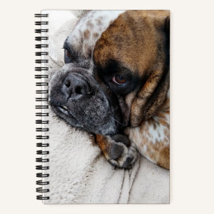 Viktorianisches Bulldog-Foto 8x5-Notebook Notizblock