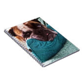 Viktorianisches Bulldog Foto 9x6 Notebook Notizblock (Rechte Seite)